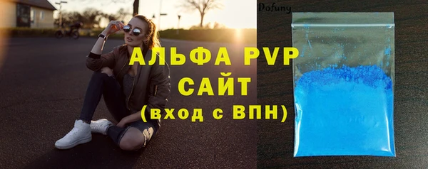 шишки Елизово