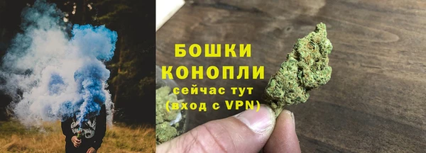 шишки Елизово