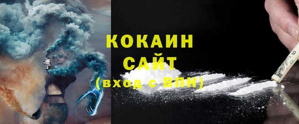 шишки Елизово