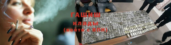 шишки Елизово