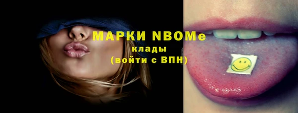 шишки Елизово