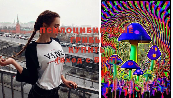 метамфетамин Ельня
