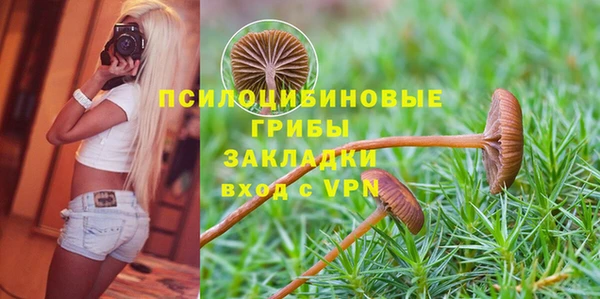 шишки Елизово