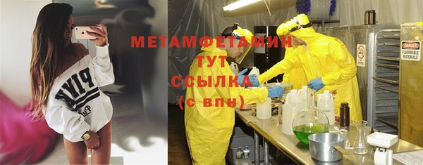 шишки Елизово