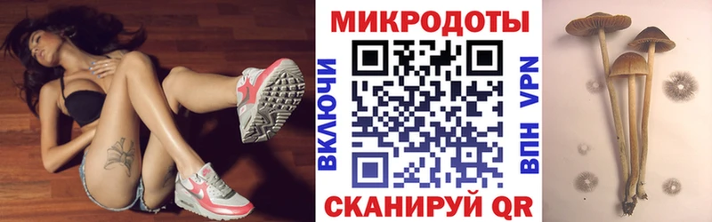 Купить закладки  Ахтырский  Псилоцибиновые грибы GOLDEN TEACHER 